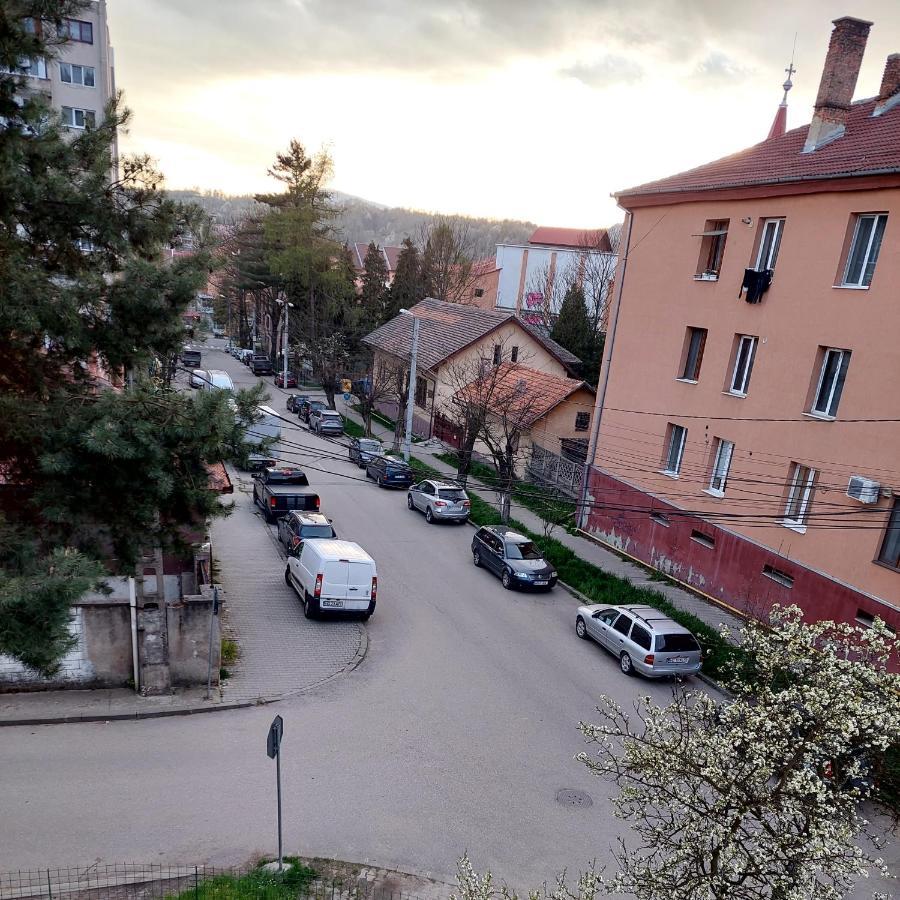 Fely Room Petrozsény Kültér fotó